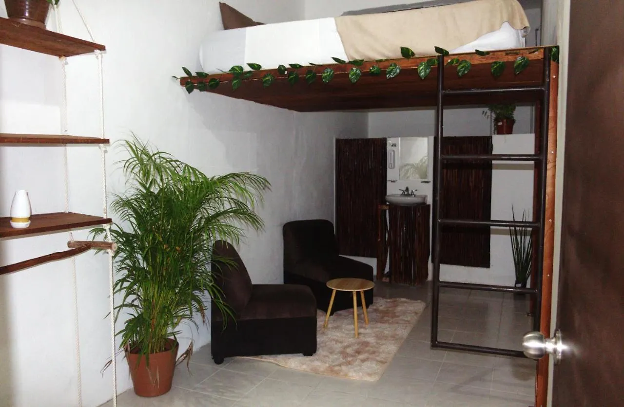 Hotel Casa De Luz פלאייה דל כרמן
